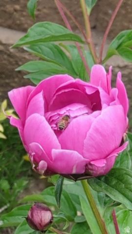 2088 N 450 W, Sunset, UT 84015