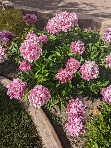 2088 N 450 W, Sunset, UT 84015