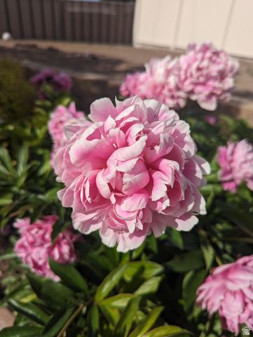 2088 N 450 W, Sunset, UT 84015