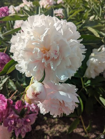 2088 N 450 W, Sunset, UT 84015