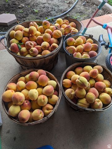 2088 N 450 W, Sunset, UT 84015