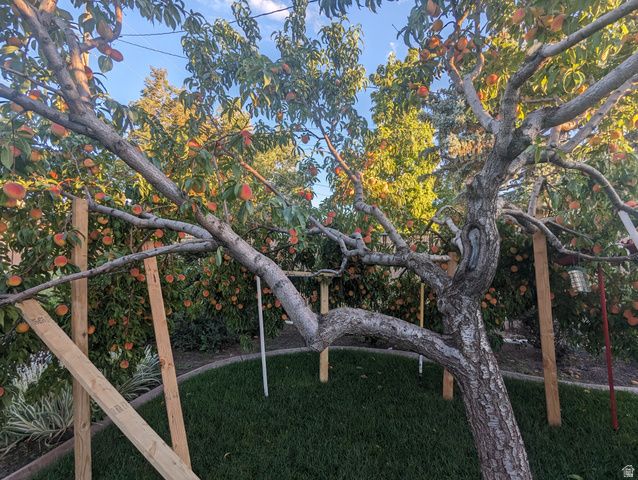 2088 N 450 W, Sunset, UT 84015