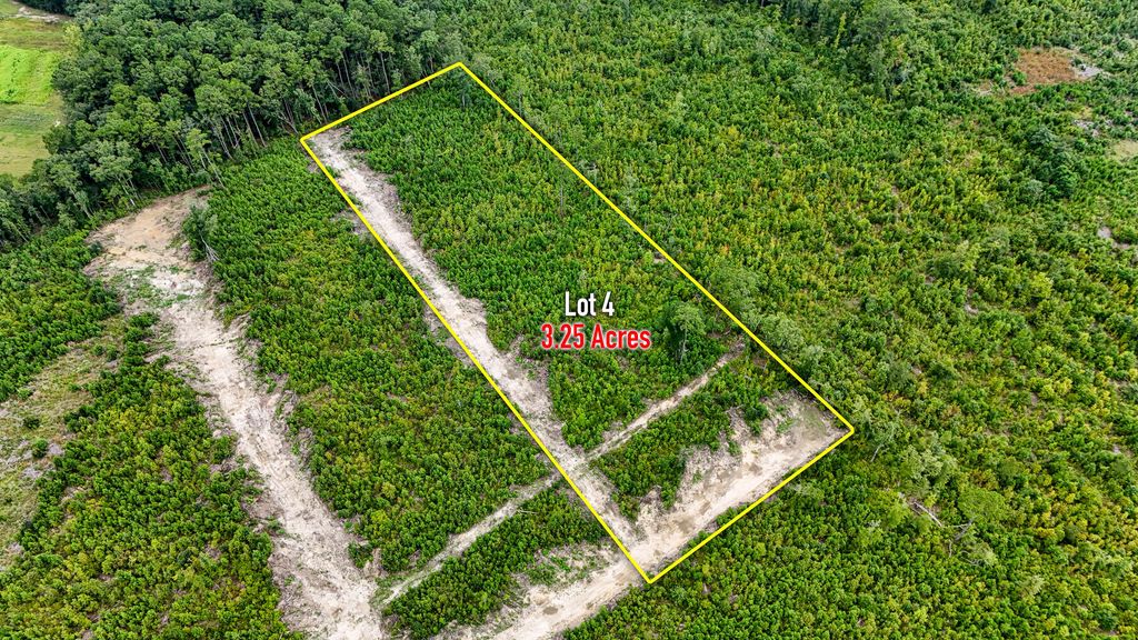 Image 1 of property listing at 0 County Road, Summerville, SC 29483