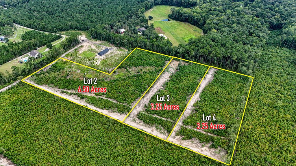 Image 2 of property listing at 0 County Road, Summerville, SC 29483