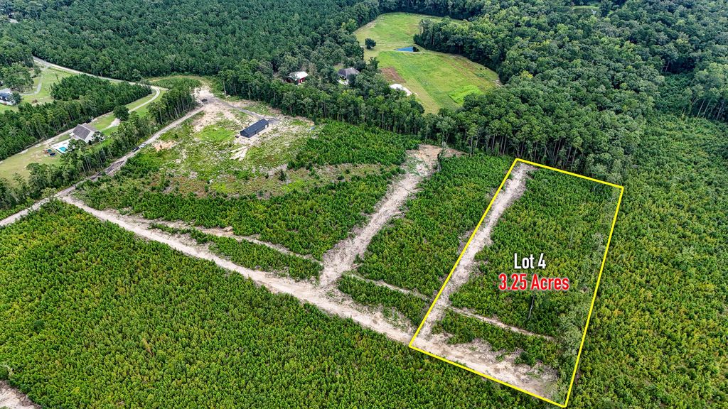 Image 3 of property listing at 0 County Road, Summerville, SC 29483
