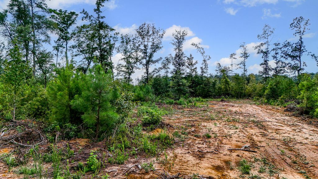 Image 5 of property listing at 0 County Road, Summerville, SC 29483
