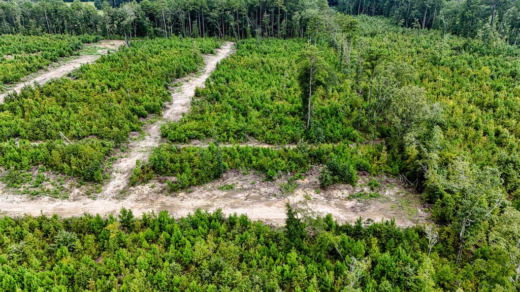 Image 6 of property listing at 0 County Road, Summerville, SC 29483