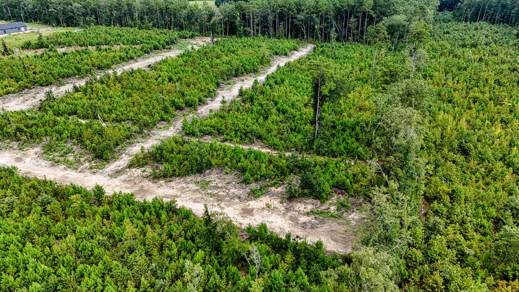 Image 7 of property listing at 0 County Road, Summerville, SC 29483