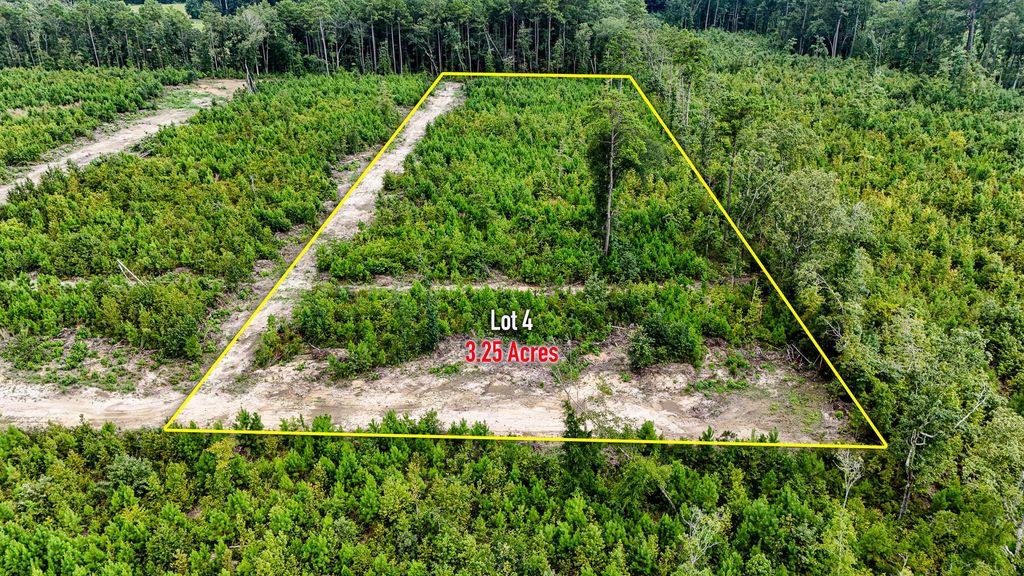 Image 8 of property listing at 0 County Road, Summerville, SC 29483