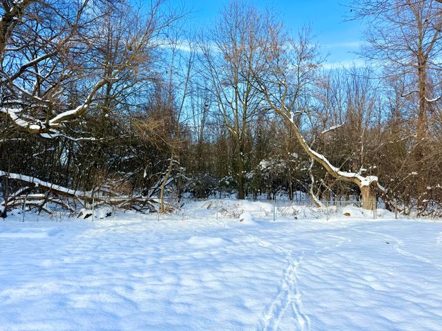 3805 Borgess Drive, Kalamazoo, MI 49048