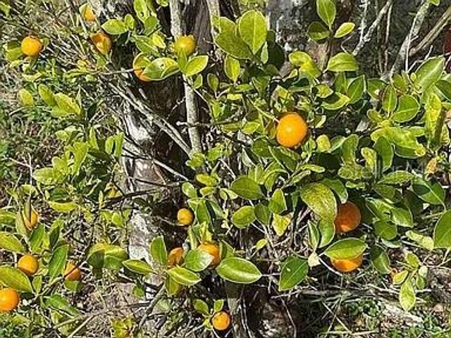 6041 13TH AVENUE, New Port Richey, FL 34653