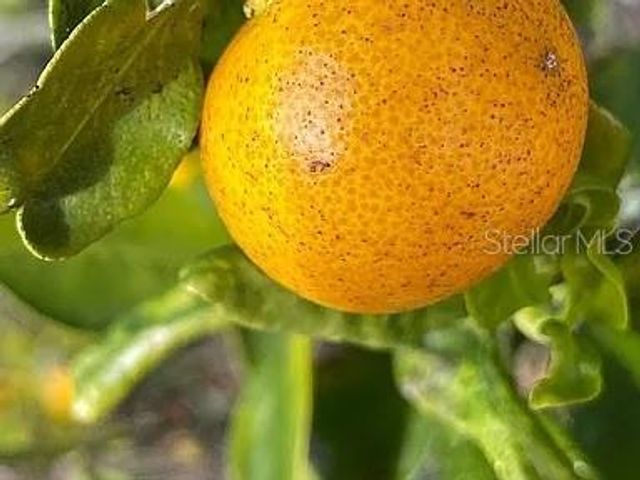 6041 13TH AVENUE, New Port Richey, FL 34653