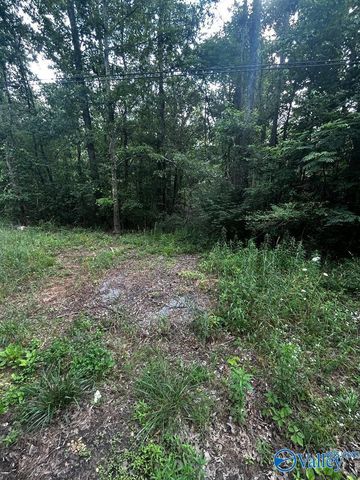 6.7 Leslie Willis Road, Somerville, AL 35670