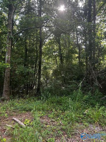 6.7 Leslie Willis Road, Somerville, AL 35670