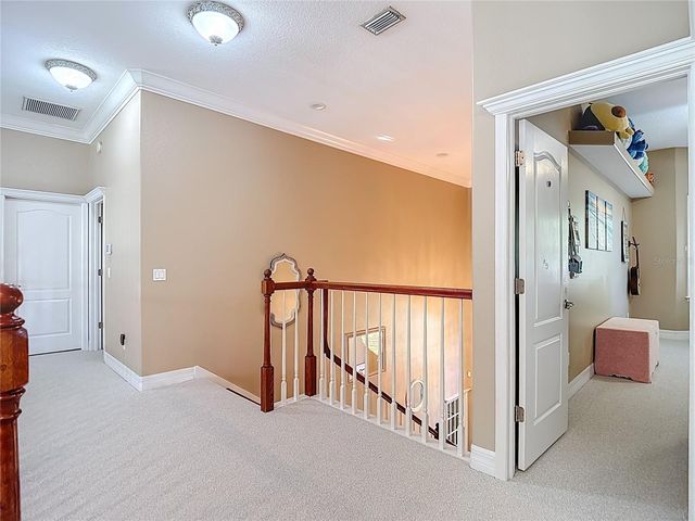 2425 VALRICO FOREST DRIVE, Valrico, FL 33594