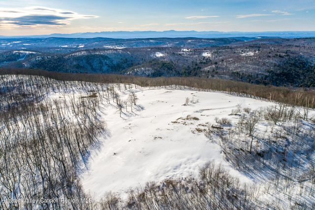 890 Bald Mountain Road, Austerlitz, NY 12017