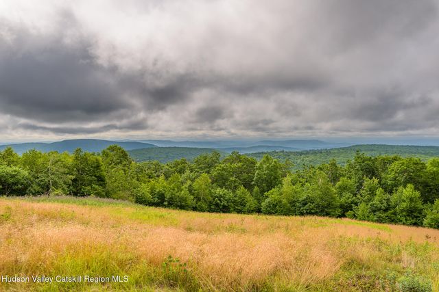 890 Bald Mountain Road, Austerlitz, NY 12017