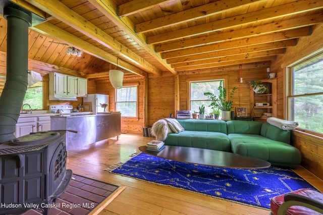 890 Bald Mountain Road, Austerlitz, NY 12017