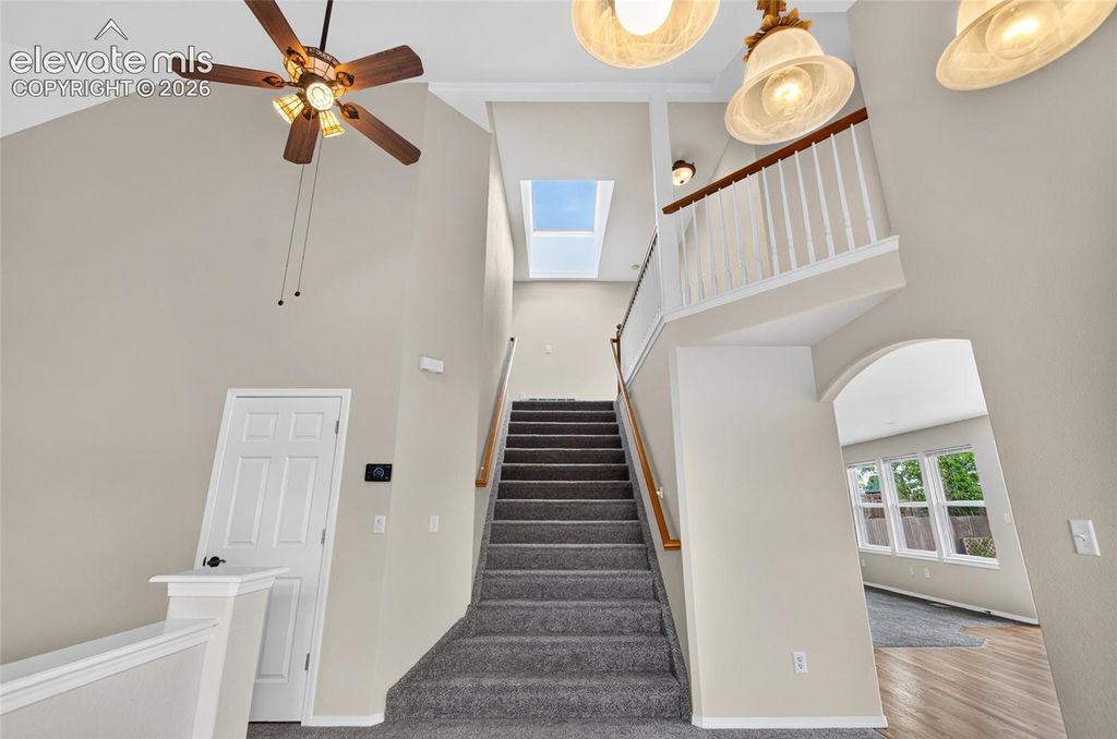 3555 Painted Daisy Court, Colorado Springs, CO 80920 — photo 4