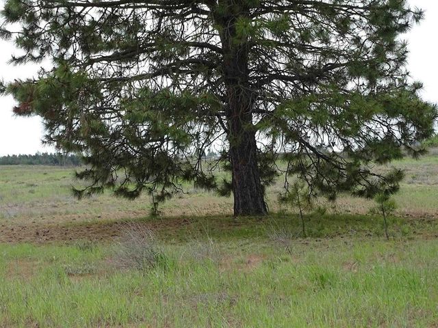 15xxx W SR 902 Hwy, Medical Lake, WA 99022