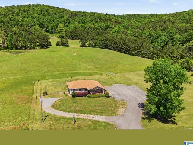 2375 ALABAMA HIGHWAY 174, Springville, AL 35146
