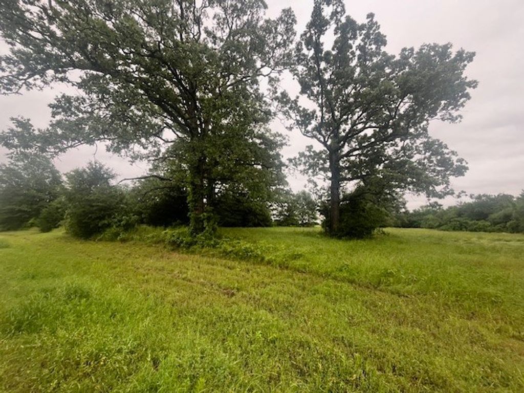 0000 County Road 1118, Brashear, TX 75420