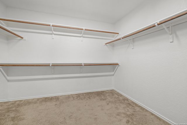 12410 Painted Daisy, San Antonio, TX 78253