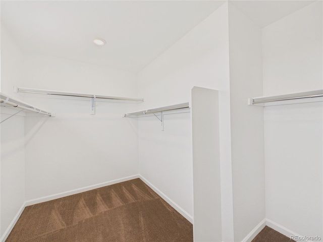 3680 Outcrop ct, Castle Rock, CO 80108