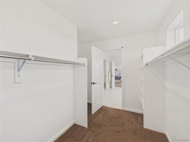 3680 Outcrop ct, Castle Rock, CO 80108