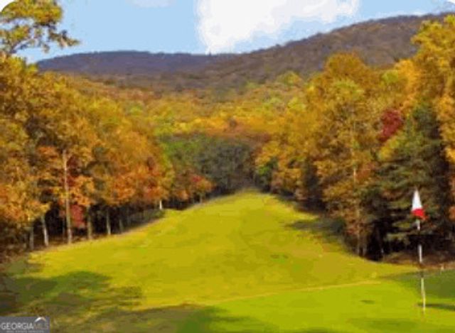 17 Denny Ridge Road, Jasper, GA 30143