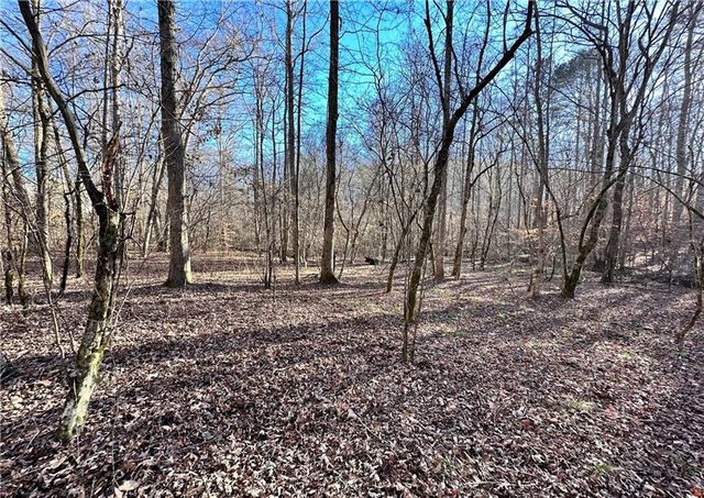 8555 Woodland Brooke Trail, Cumming, GA 30028