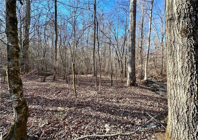 8555 Woodland Brooke Trail, Cumming, GA 30028