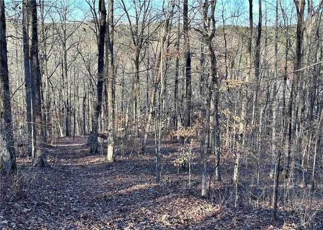 8555 Woodland Brooke Trail, Cumming, GA 30028