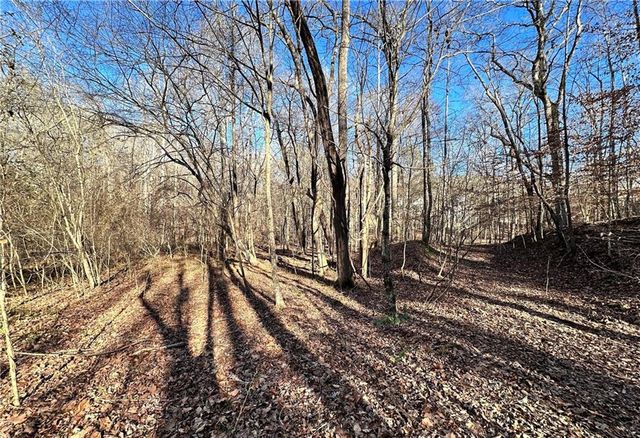8555 Woodland Brooke Trail, Cumming, GA 30028