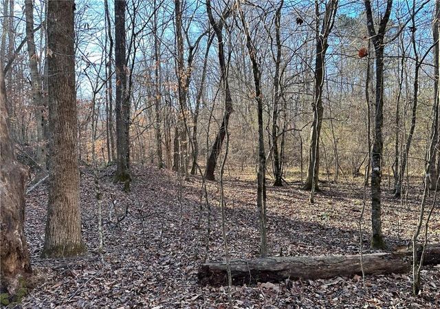 8555 Woodland Brooke Trail, Cumming, GA 30028