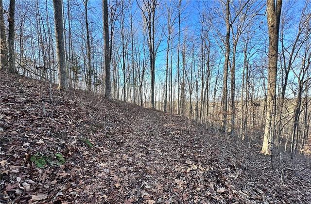8555 Woodland Brooke Trail, Cumming, GA 30028
