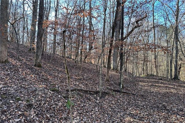 8555 Woodland Brooke Trail, Cumming, GA 30028