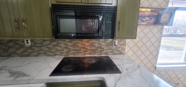 14172 Royal Grand Avenue, Redford, MI 48239