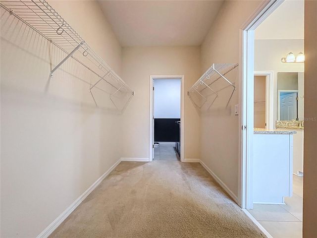 11345 AMERICAN HOLLY DRIVE, Riverview, FL 33578