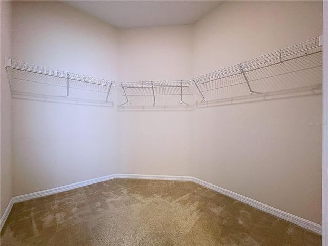 11345 AMERICAN HOLLY DRIVE, Riverview, FL 33578