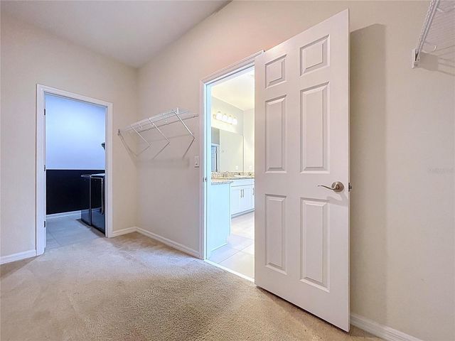 11345 AMERICAN HOLLY DRIVE, Riverview, FL 33578