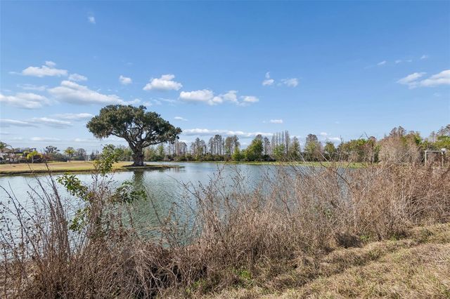 10718 OSPREY LANDING WAY, Thonotosassa, FL 33592