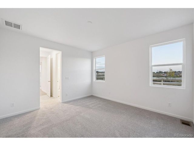 916 Steppe Ln, Windsor, CO 80550