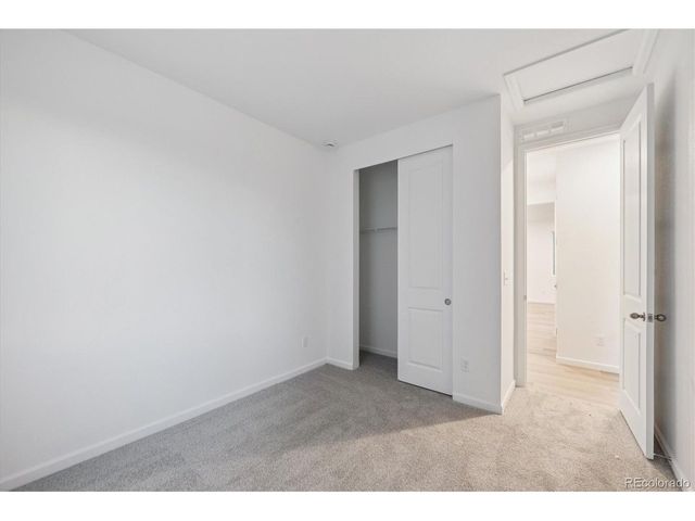 916 Steppe Ln, Windsor, CO 80550