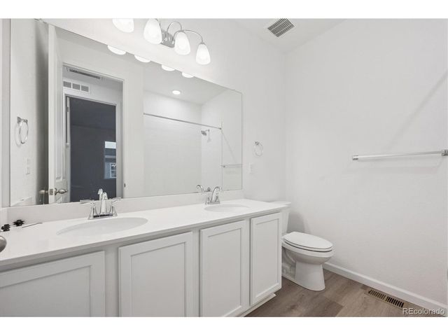 916 Steppe Ln, Windsor, CO 80550