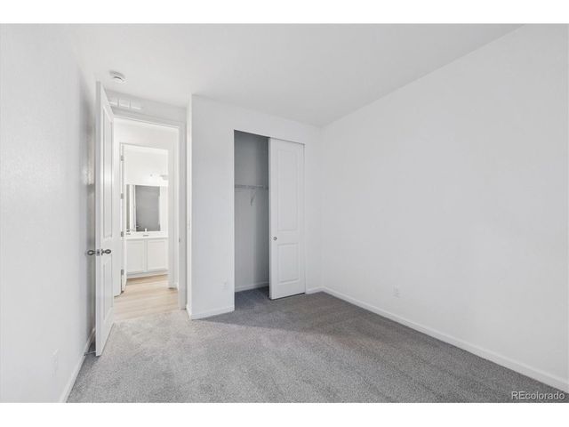 916 Steppe Ln, Windsor, CO 80550