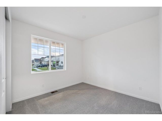 916 Steppe Ln, Windsor, CO 80550