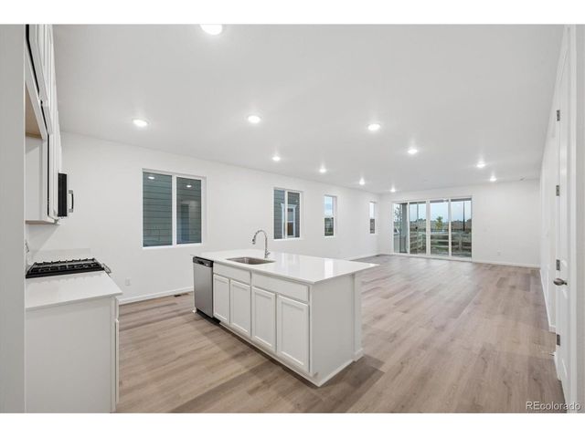 916 Steppe Ln, Windsor, CO 80550