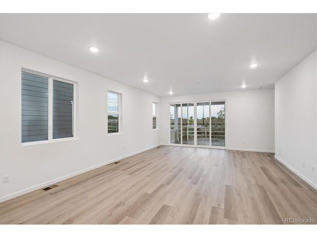 916 Steppe Ln, Windsor, CO 80550