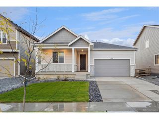 916 Steppe Ln, Windsor, CO 80550